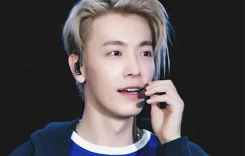 木北造型·青木灰男生發(fā)型 高級感十足，解鎖型格新風尚